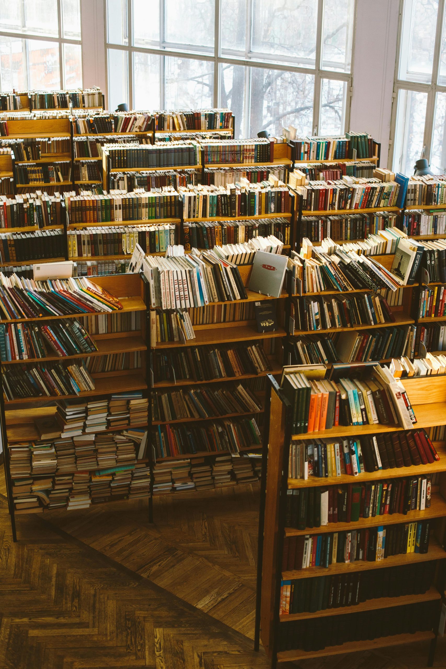 A warm, inviting library with rows of bookshelves filled with a variety of literature, perfect for study and research.